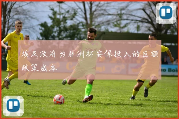 埃及政府为非洲杯安保投入的巨额政策成本