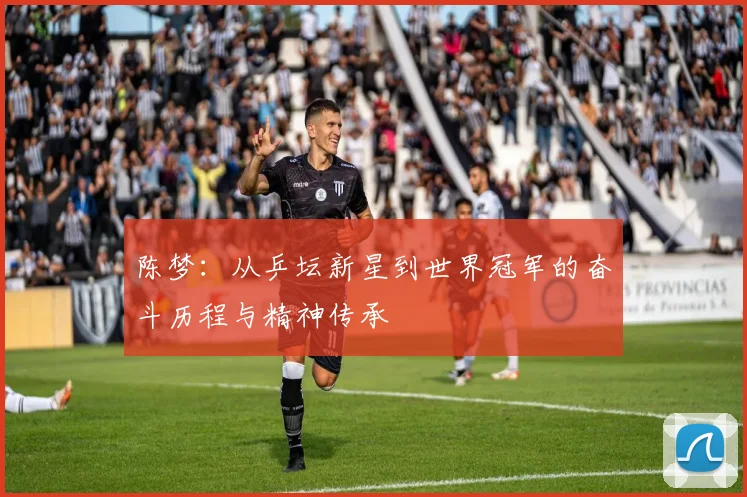 陈梦：从乒坛新星到世界冠军的奋斗历程与精神传承