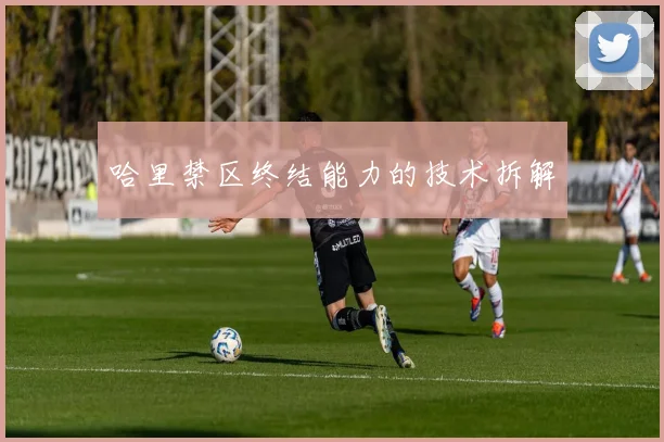哈里禁区终结能力的技术拆解