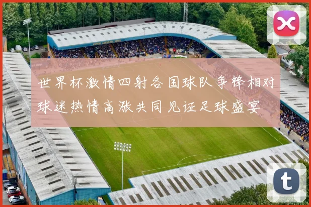 世界杯激情四射各国球队争锋相对球迷热情高涨共同见证足球盛宴