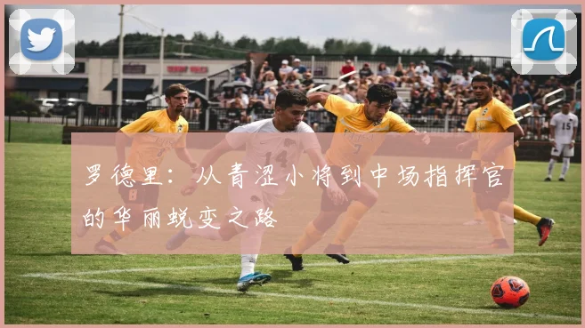 罗德里：从青涩小将到中场指挥官的华丽蜕变之路