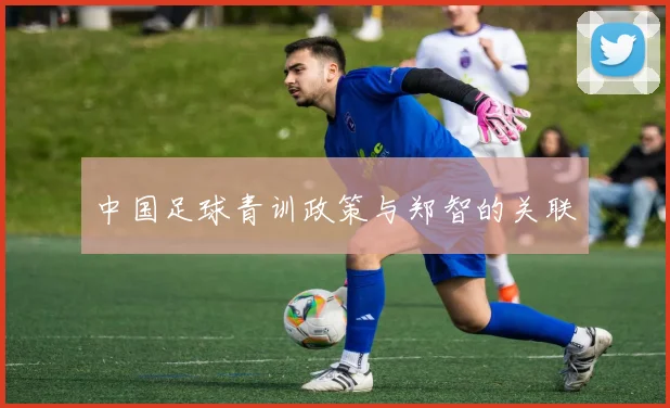 中国足球青训政策与郑智的关联