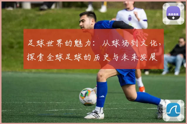足球世界的魅力：从球场到文化，探索全球足球的历史与未来发展