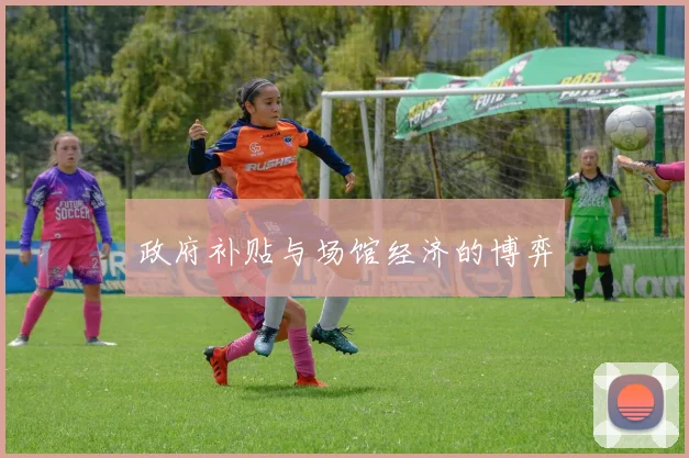 政府补贴与场馆经济的博弈