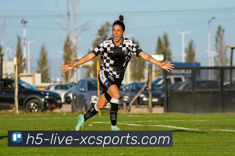 足球世界的魅力：从球场到文化，探索全球足球的历史与未来发展